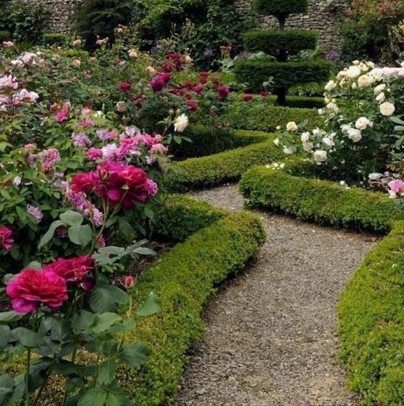 Meet COCOWARES - Picture 4 of 6